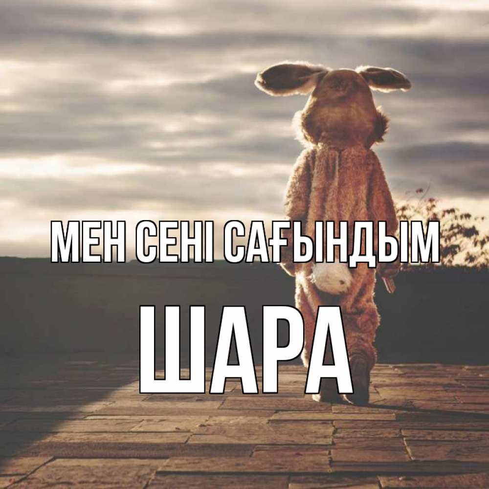 Күн сайын ашық хат с именем, ШАРА Мен сені сағындым даже в костюме зайца Онлайн тегін жүктеп алу тілектері бар керемет карта 