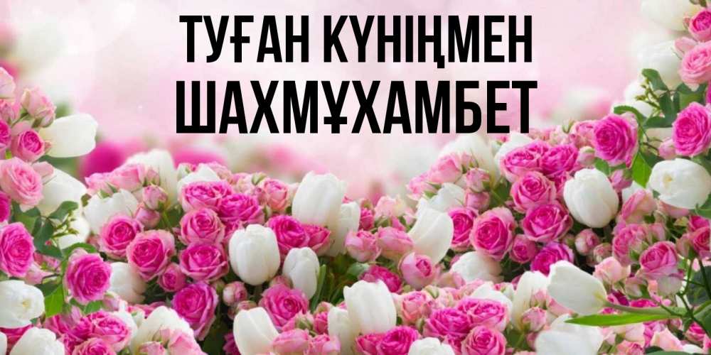 Күн сайын ашық хат с именем, ШАХМҰХАМБЕТ Туған күніңмен открытка с разными розами Онлайн тегін жүктеп алу тілектері бар керемет карта 