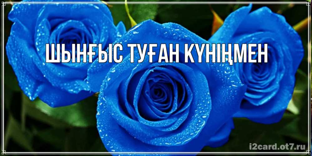 Картинка  с именем , ШЫНҒЫС! ТУҒАН КҮНІҢМЕН!
