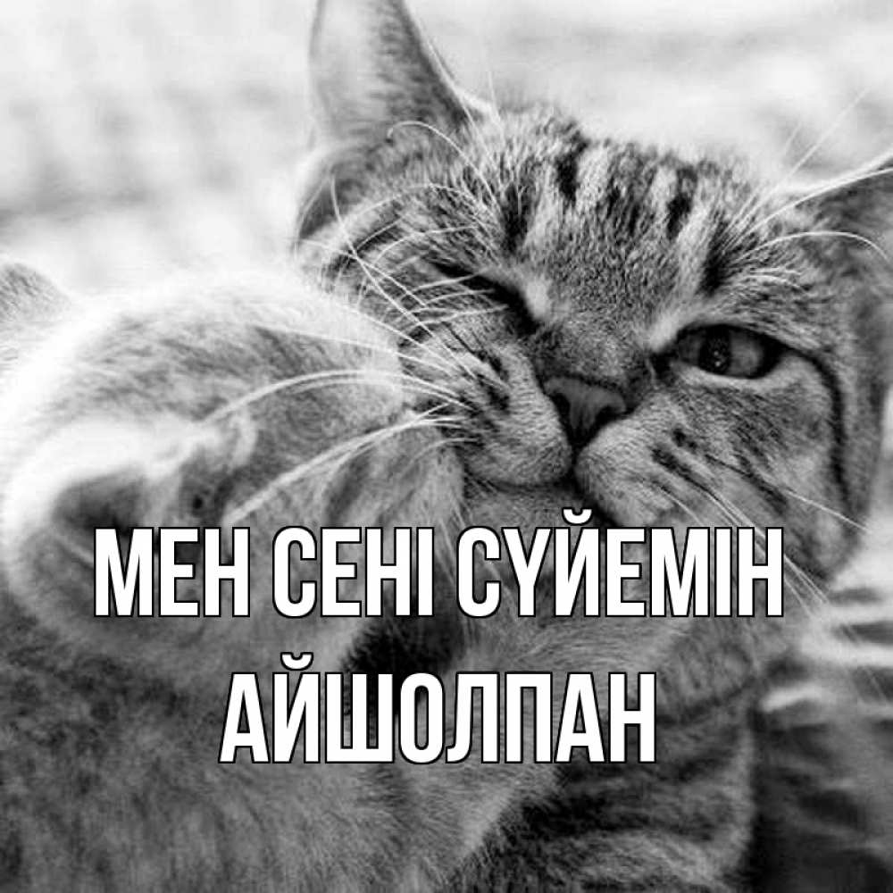 Күн сайын ашық хат с именем, АЙШОЛПАН Мен сені сүйемін коты Онлайн тегін жүктеп алу тілектері бар керемет карта 