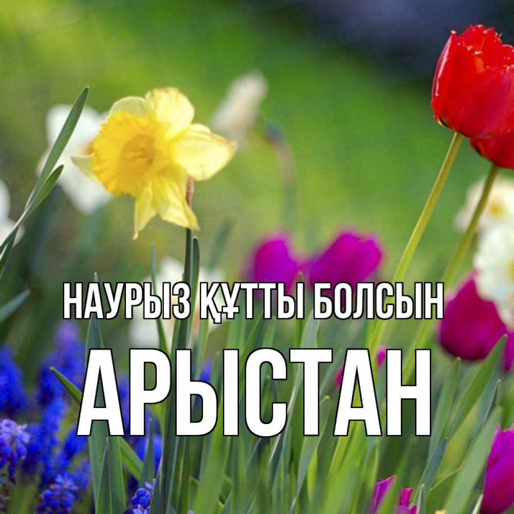 Күн сайын ашық хат с именем, Арыстан Наурыз құтты болсын наурыз  3 открытки Онлайн тегін жүктеп алу тілектері бар керемет карта 