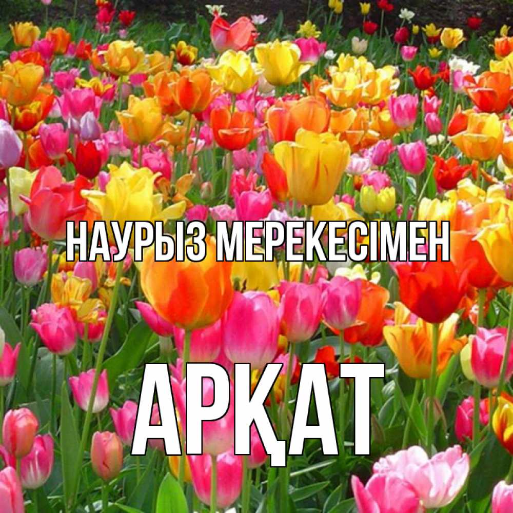 Күн сайын ашық хат с именем, Арқат Наурыз мерекесімен праздник весны наурыз 4 Онлайн тегін жүктеп алу тілектері бар керемет карта 