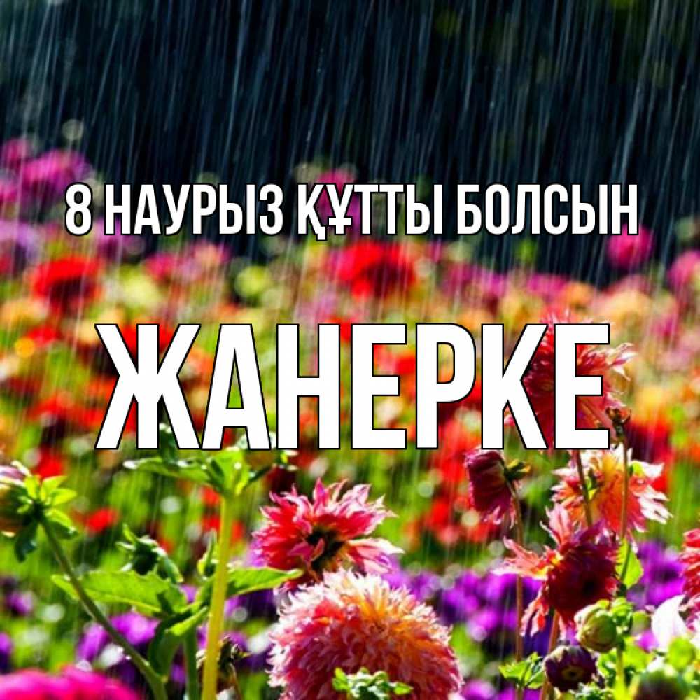 Күн сайын ашық хат с именем, ЖАНЕРКЕ 8 наурыз құтты болсын цветы под дождиком к международному женскому дню Онлайн тегін жүктеп алу тілектері бар керемет карта 