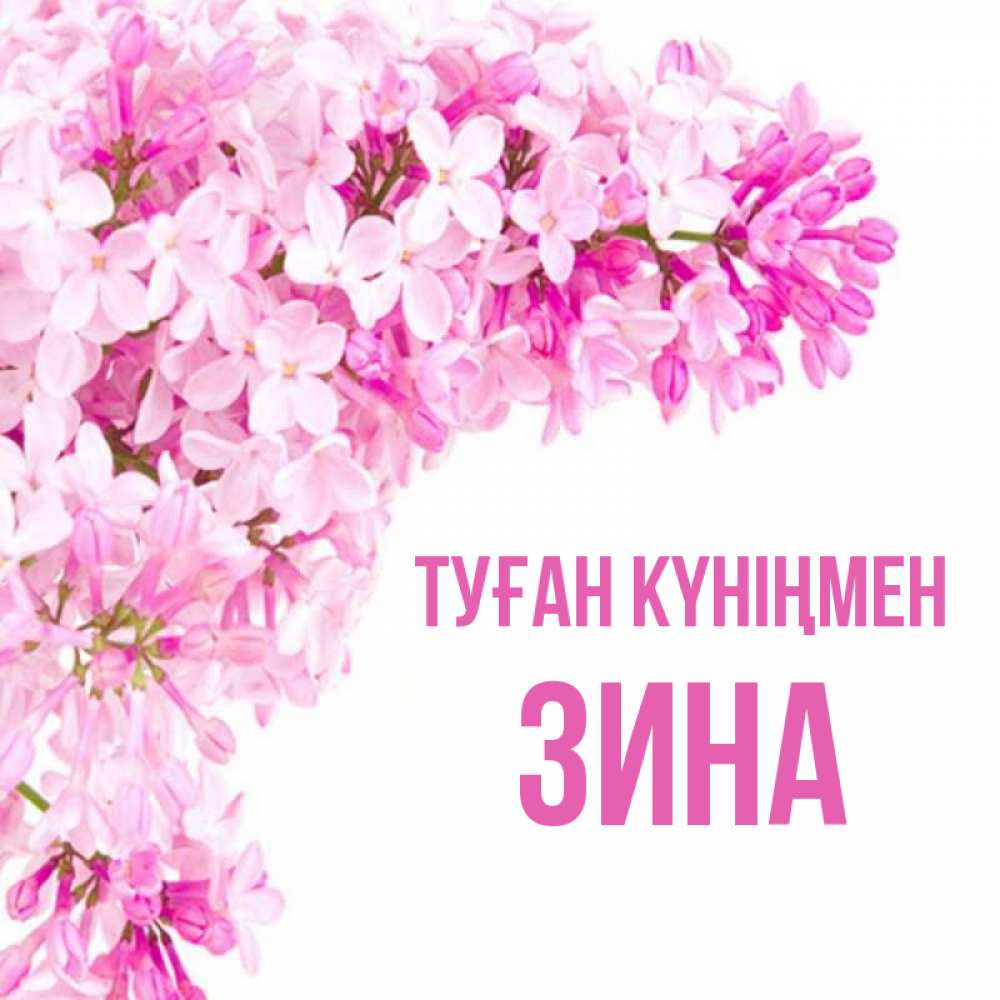 Күн сайын ашық хат с именем, Зина Туған күніңмен Сирень на белом фоне Онлайн тегін жүктеп алу тілектері бар керемет карта 
