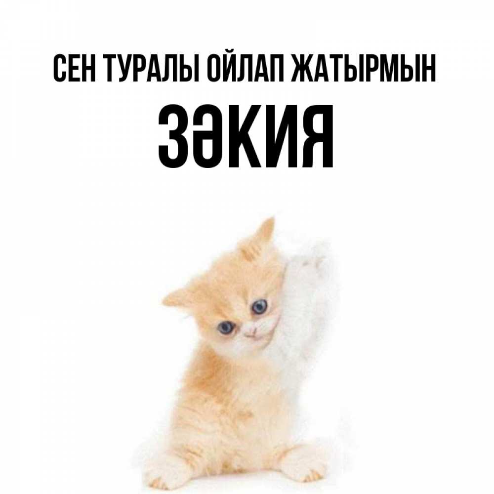 Күн сайын ашық хат с именем, ЗӘКИЯ Сен туралы ойлап жатырмын зверушки и милота Онлайн тегін жүктеп алу тілектері бар керемет карта 