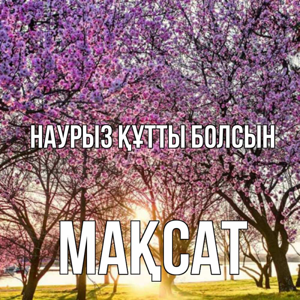 Күн сайын ашық хат с именем, МАҚСАТ Наурыз құтты болсын наурыз Онлайн тегін жүктеп алу тілектері бар керемет карта 