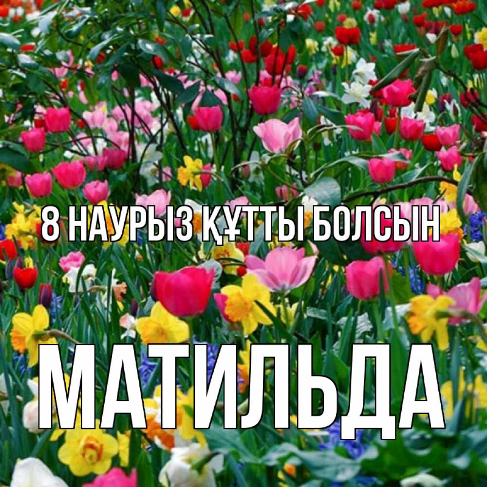 Күн сайын ашық хат с именем, Матильда 8 наурыз құтты болсын с международным женским днем поздравления для женщины Онлайн тегін жүктеп алу тілектері бар керемет карта 
