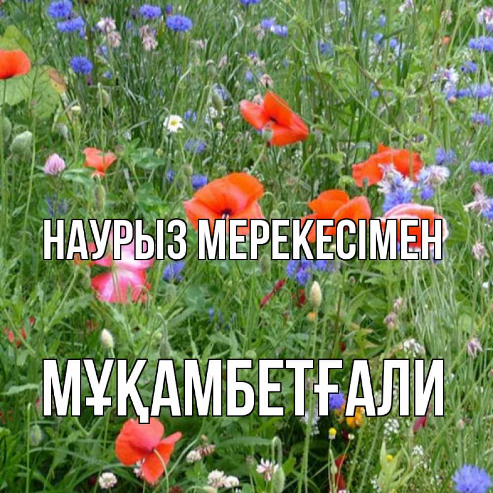 Күн сайын ашық хат с именем, Мұқамбетғали Наурыз мерекесімен праздник весны наурыз супер открытка Онлайн тегін жүктеп алу тілектері бар керемет карта 