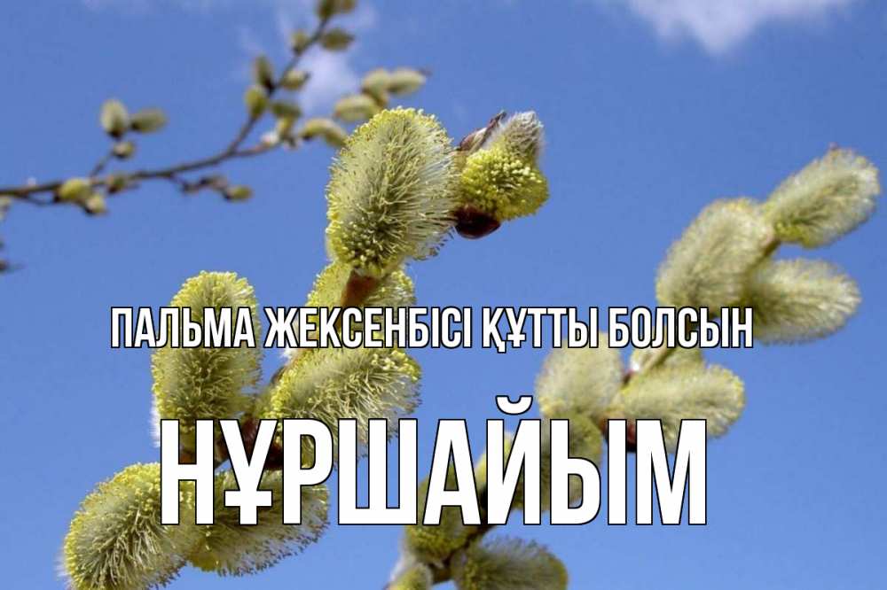 Күн сайын ашық хат с именем, НҰРШАЙЫМ Пальма жексенбісі құтты болсын верба Онлайн тегін жүктеп алу тілектері бар керемет карта 