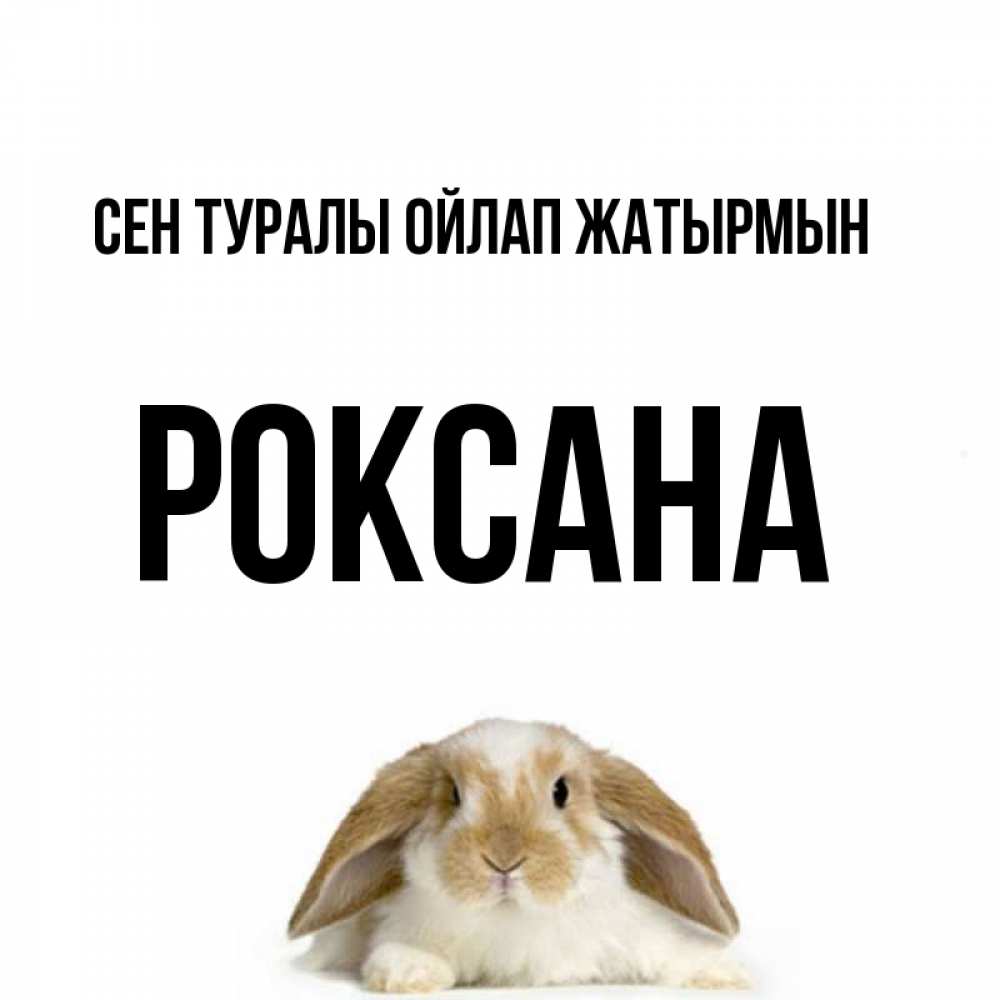 Күн сайын ашық хат с именем, Роксана Сен туралы ойлап жатырмын подписать своими руками онлайн Онлайн тегін жүктеп алу тілектері бар керемет карта 