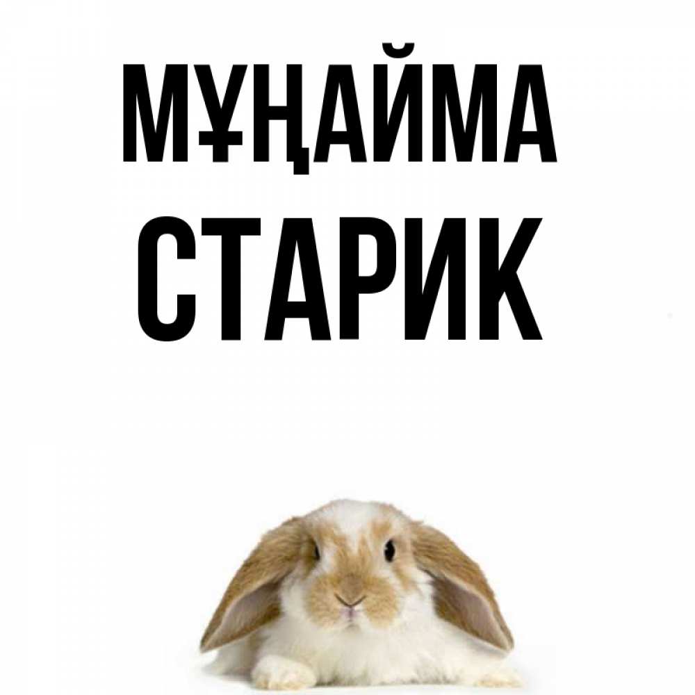 Күн сайын ашық хат с именем, Старик Мұңайма коричнево белый заяц с большими ушками Онлайн тегін жүктеп алу тілектері бар керемет карта 