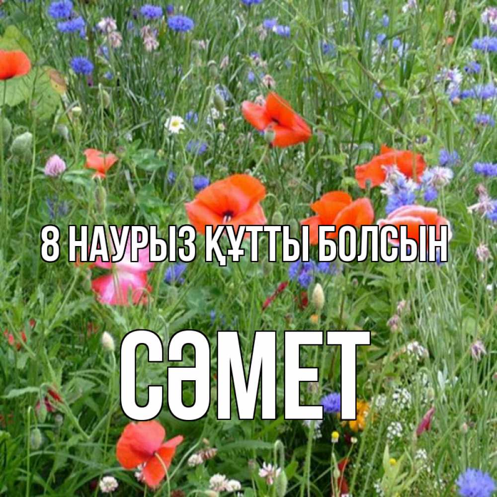 Күн сайын ашық хат с именем, СӘМЕТ 8 наурыз құтты болсын международный женский день 4 Онлайн тегін жүктеп алу тілектері бар керемет карта 