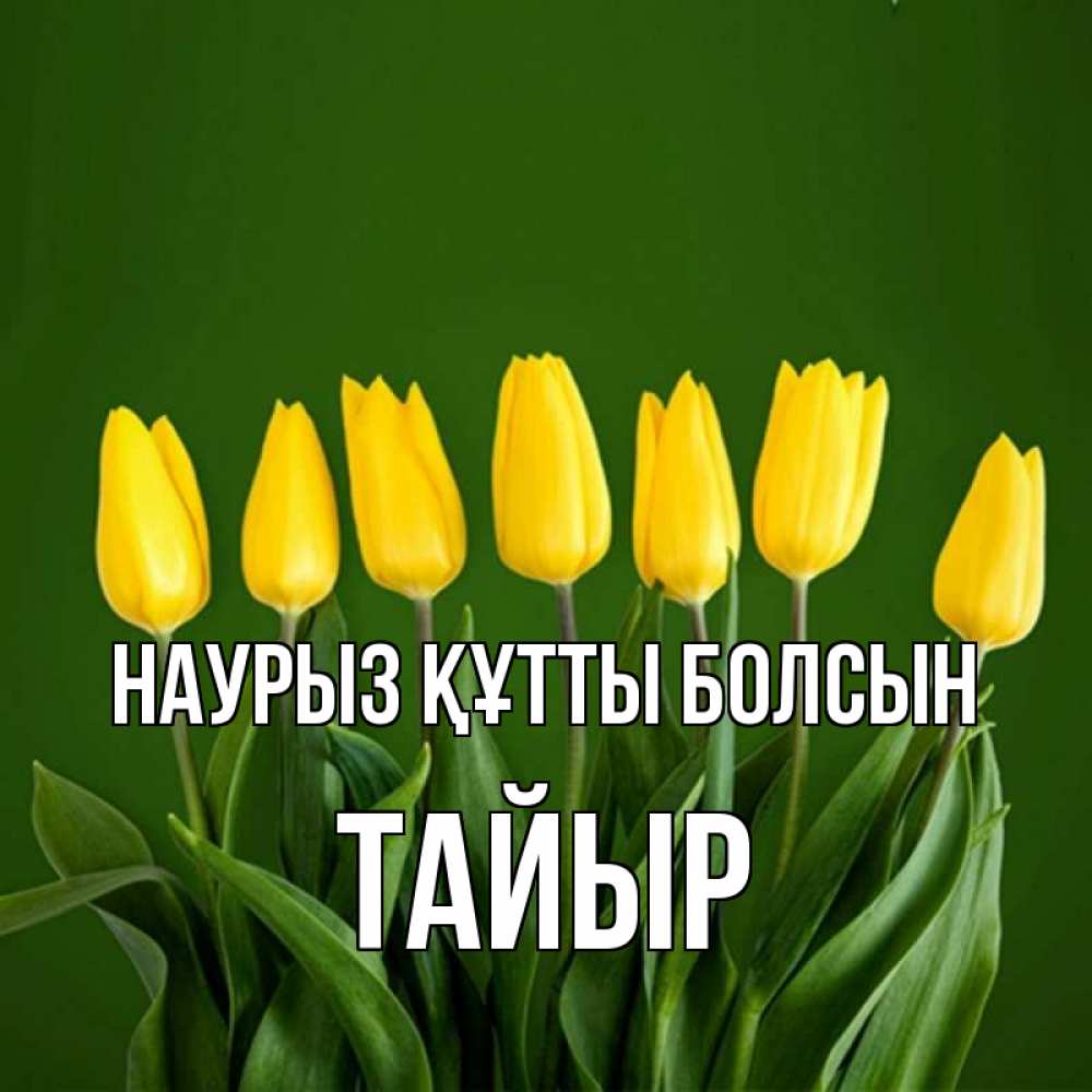 Күн сайын ашық хат с именем, ТАЙЫР Наурыз құтты болсын желтого цвета 3 Онлайн тегін жүктеп алу тілектері бар керемет карта 