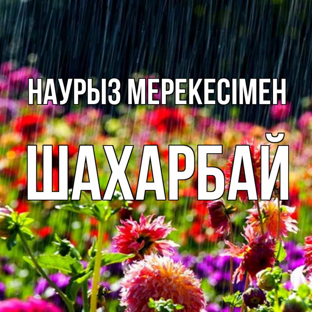Күн сайын ашық хат с именем, ШАХАРБАЙ Наурыз мерекесімен цветы под дождиком к международному женскому дню Онлайн тегін жүктеп алу тілектері бар керемет карта 