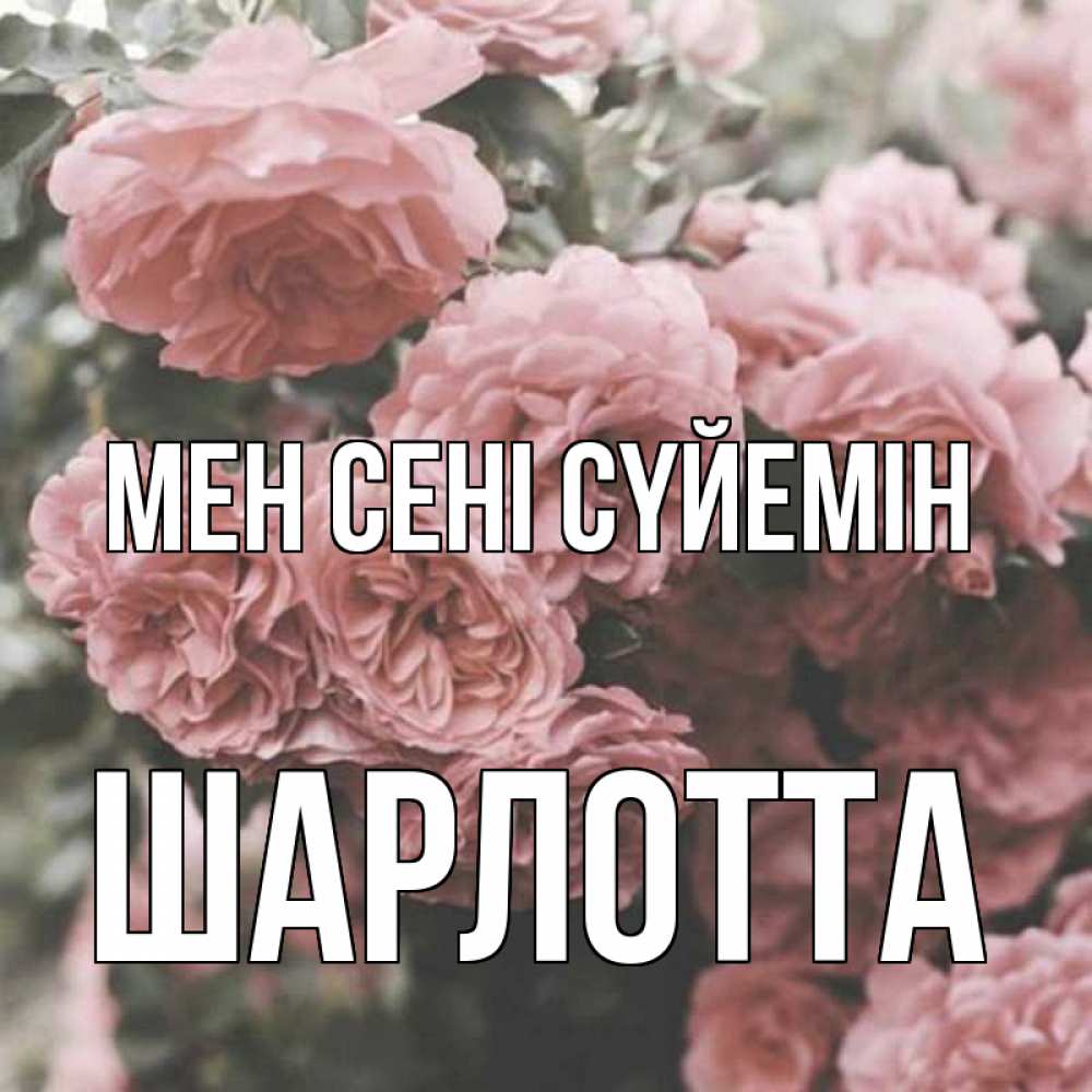 Күн сайын ашық хат с именем, Шарлотта Мен сені сүйемін розы 3 Онлайн тегін жүктеп алу тілектері бар керемет карта 