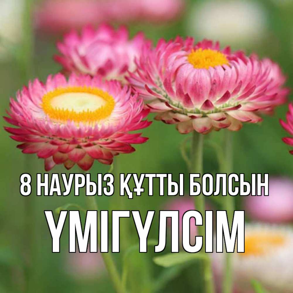Күн сайын ашық хат с именем, ҮМІГҮЛСІМ 8 наурыз құтты болсын подарок на международный женский день Онлайн тегін жүктеп алу тілектері бар керемет карта 