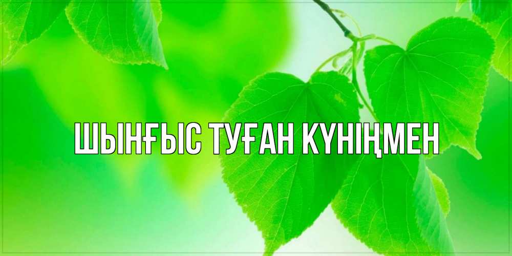 Картинка  с именем , ШЫНҒЫС! ТУҒАН КҮНІҢМЕН!