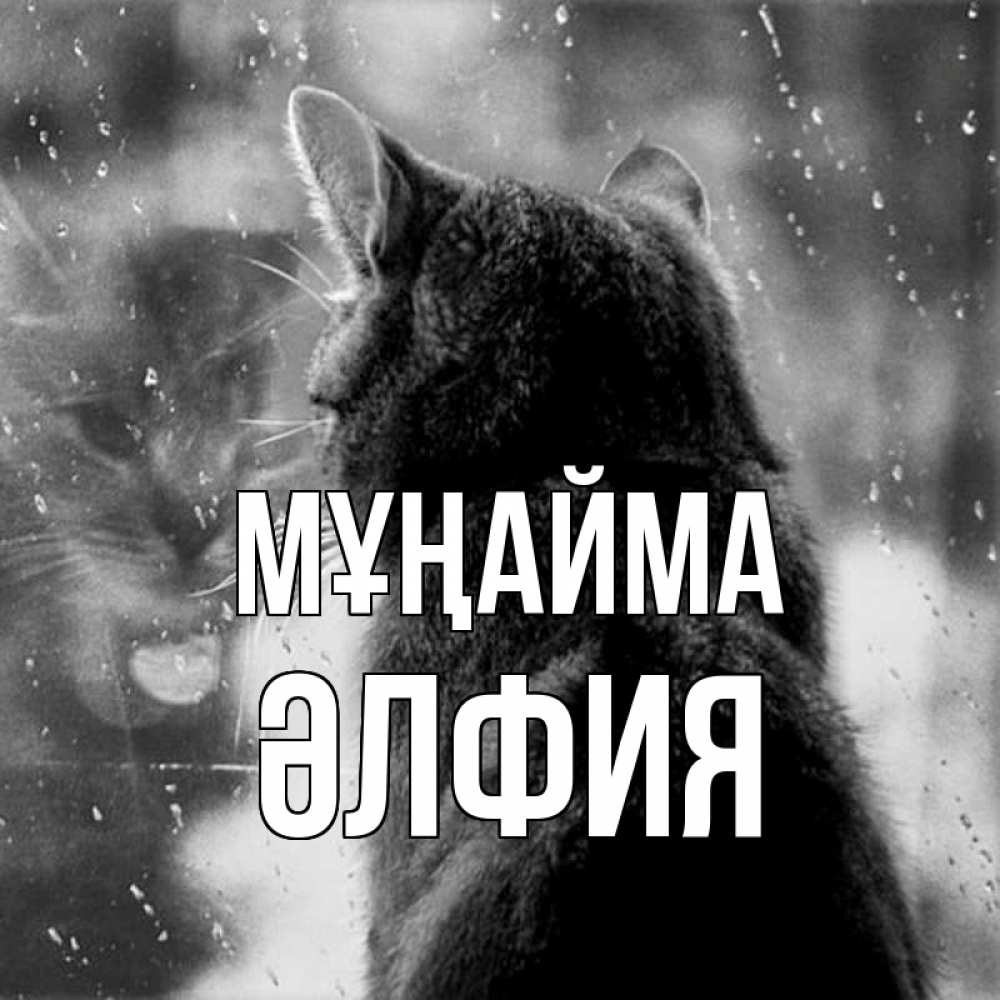 Күн сайын ашық хат с именем, ӘЛФИЯ Мұңайма отражение кота 1 Онлайн тегін жүктеп алу тілектері бар керемет карта 