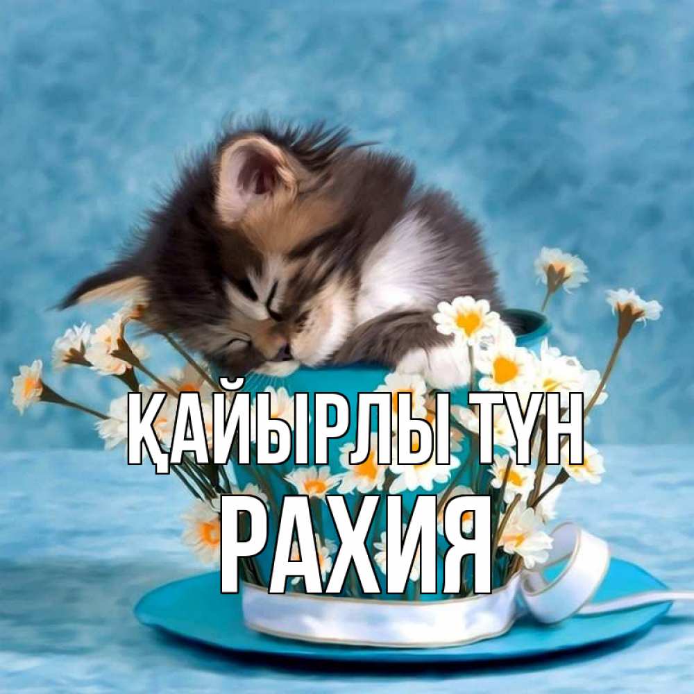 Күн сайын ашық хат с именем, РАХИЯ Қайырлы түн котенок спит в кружке с блюдцем Онлайн тегін жүктеп алу тілектері бар керемет карта 