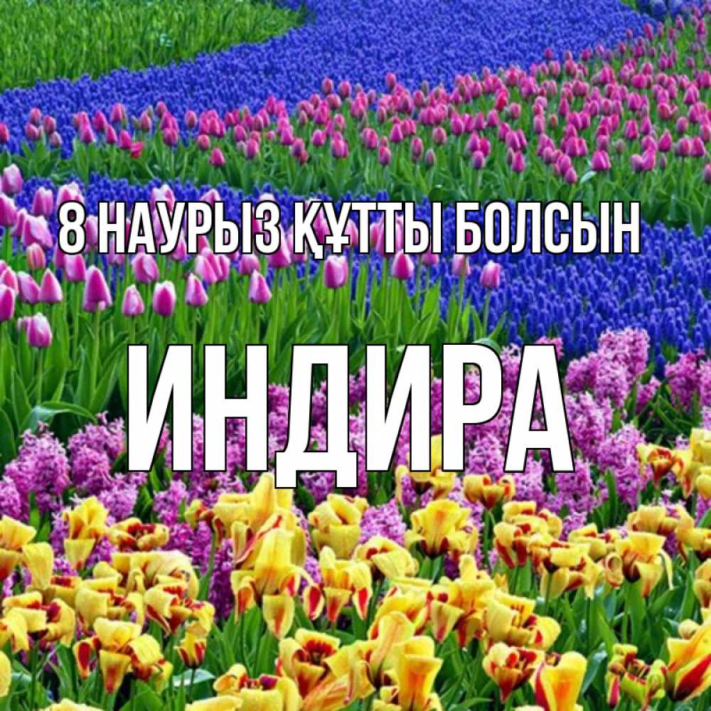 Күн сайын ашық хат с именем, ИНДИРА 8 наурыз құтты болсын цветы Онлайн тегін жүктеп алу тілектері бар керемет карта 