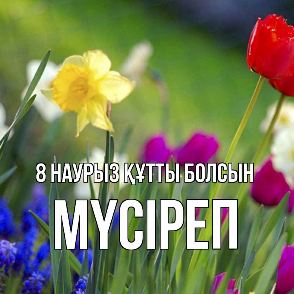 Күн сайын ашық хат с именем, МҮСІРЕП 8 наурыз құтты болсын международный женский день 3 Онлайн тегін жүктеп алу тілектері бар керемет карта 