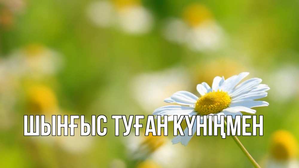 Картинка  с именем , ШЫНҒЫС! ТУҒАН КҮНІҢМЕН!