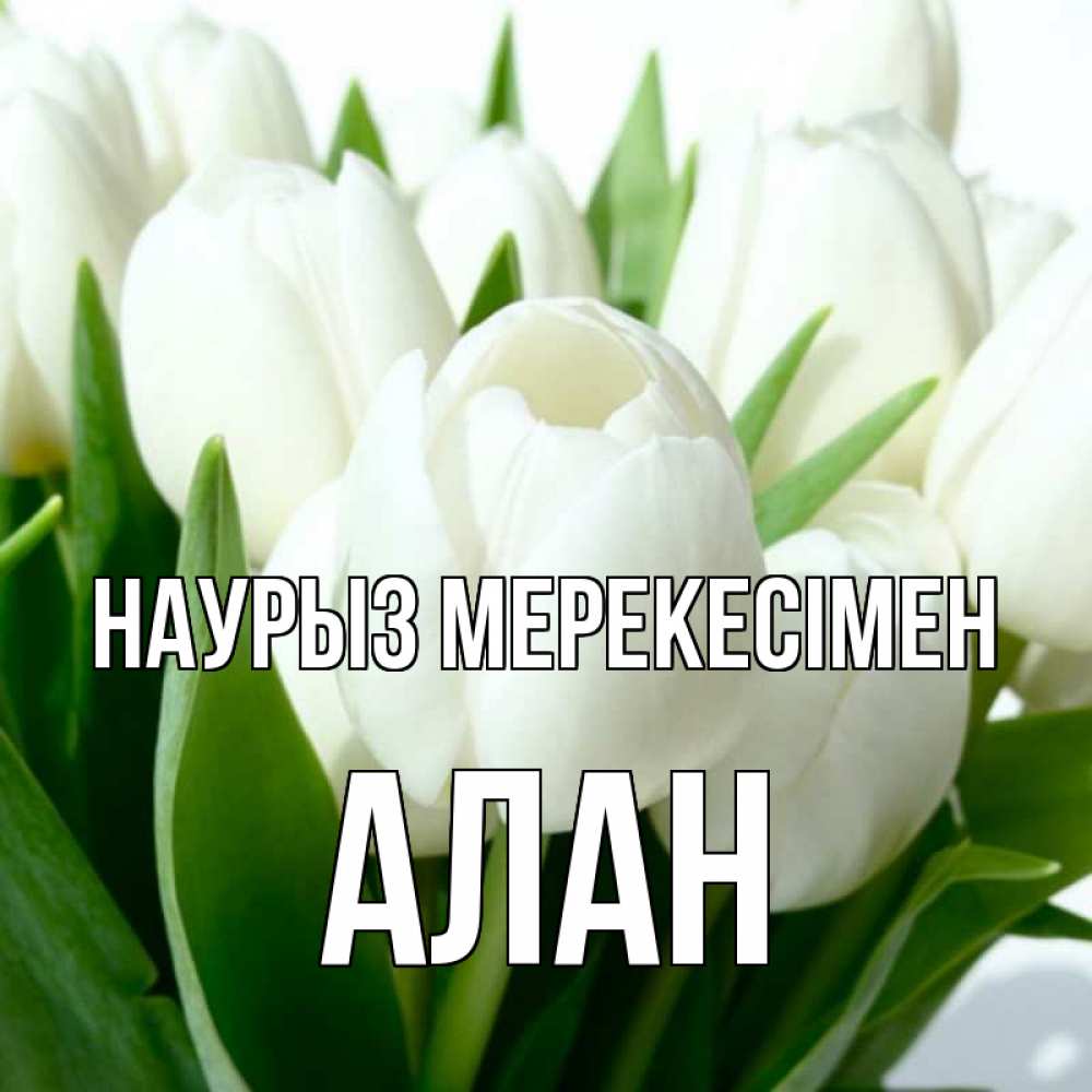 Күн сайын ашық хат с именем, Алан Наурыз мерекесімен цветы Онлайн тегін жүктеп алу тілектері бар керемет карта 