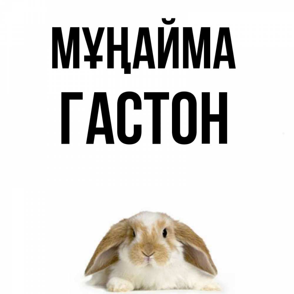 Күн сайын ашық хат с именем, Гастон Мұңайма коричнево белый заяц с большими ушками Онлайн тегін жүктеп алу тілектері бар керемет карта 