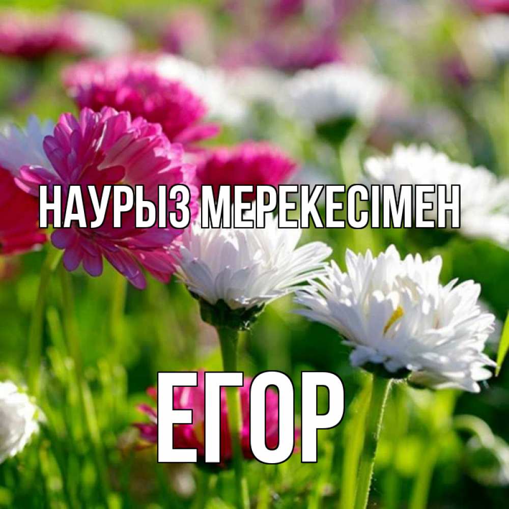 Күн сайын ашық хат с именем, Егор Наурыз мерекесімен праздник весны наурыз красота Онлайн тегін жүктеп алу тілектері бар керемет карта 
