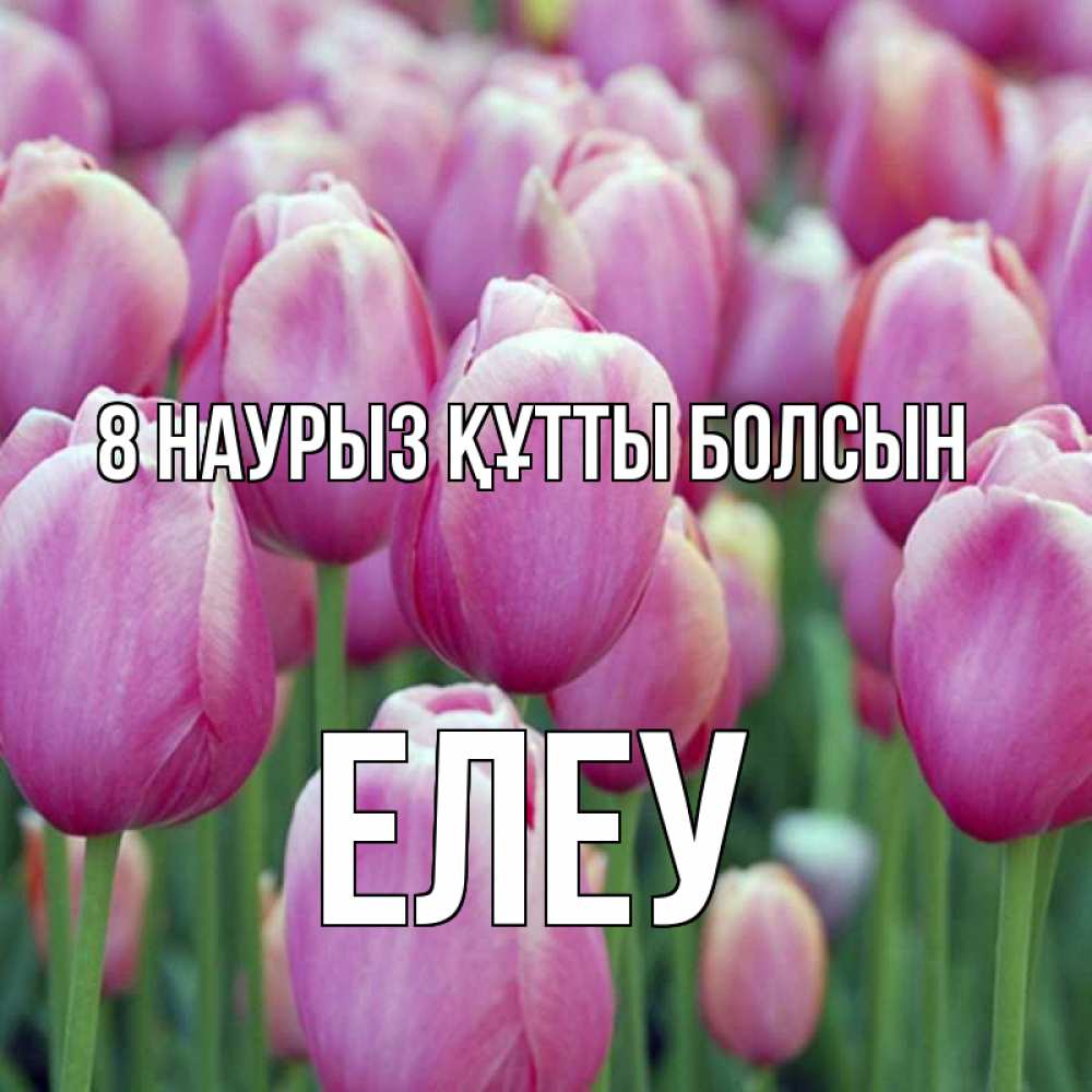 Күн сайын ашық хат с именем, Елеу 8 наурыз құтты болсын на международный женский день 3 Онлайн тегін жүктеп алу тілектері бар керемет карта 