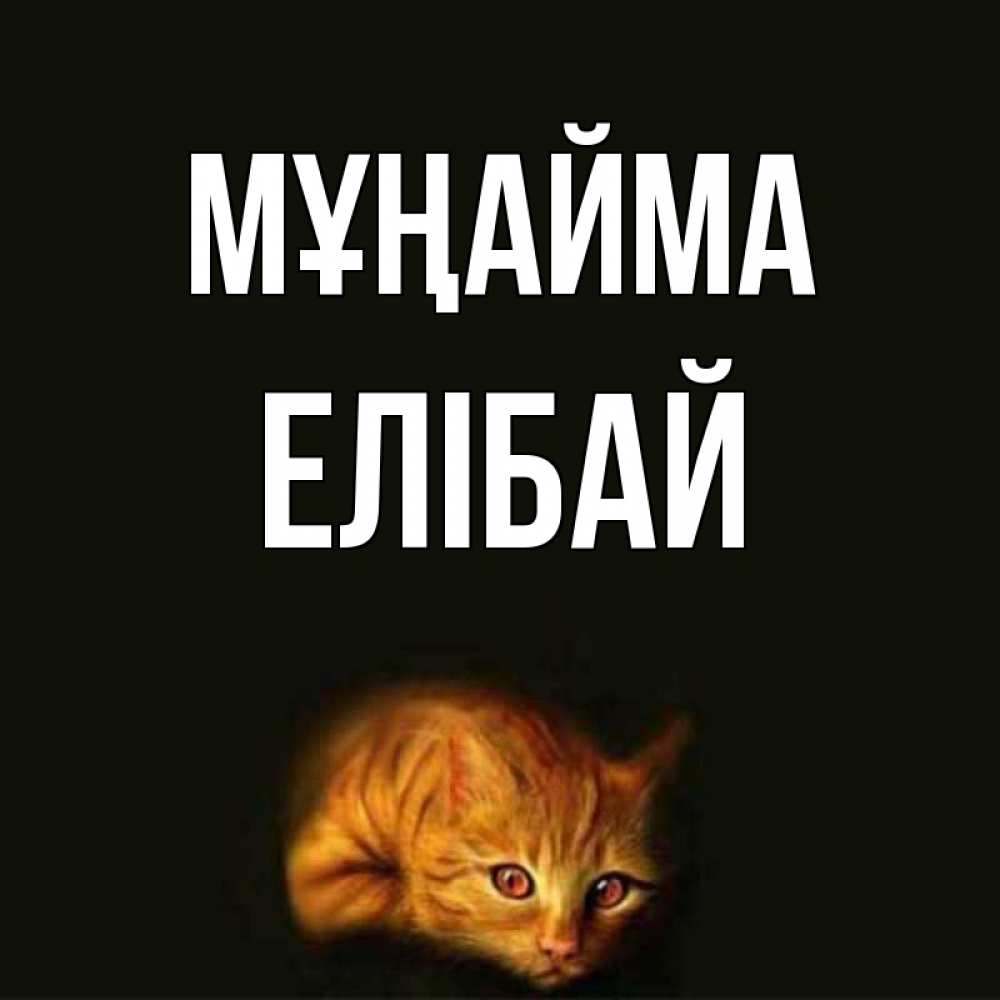 Күн сайын ашық хат с именем, Елібай Мұңайма лежащий кот в темноте Онлайн тегін жүктеп алу тілектері бар керемет карта 