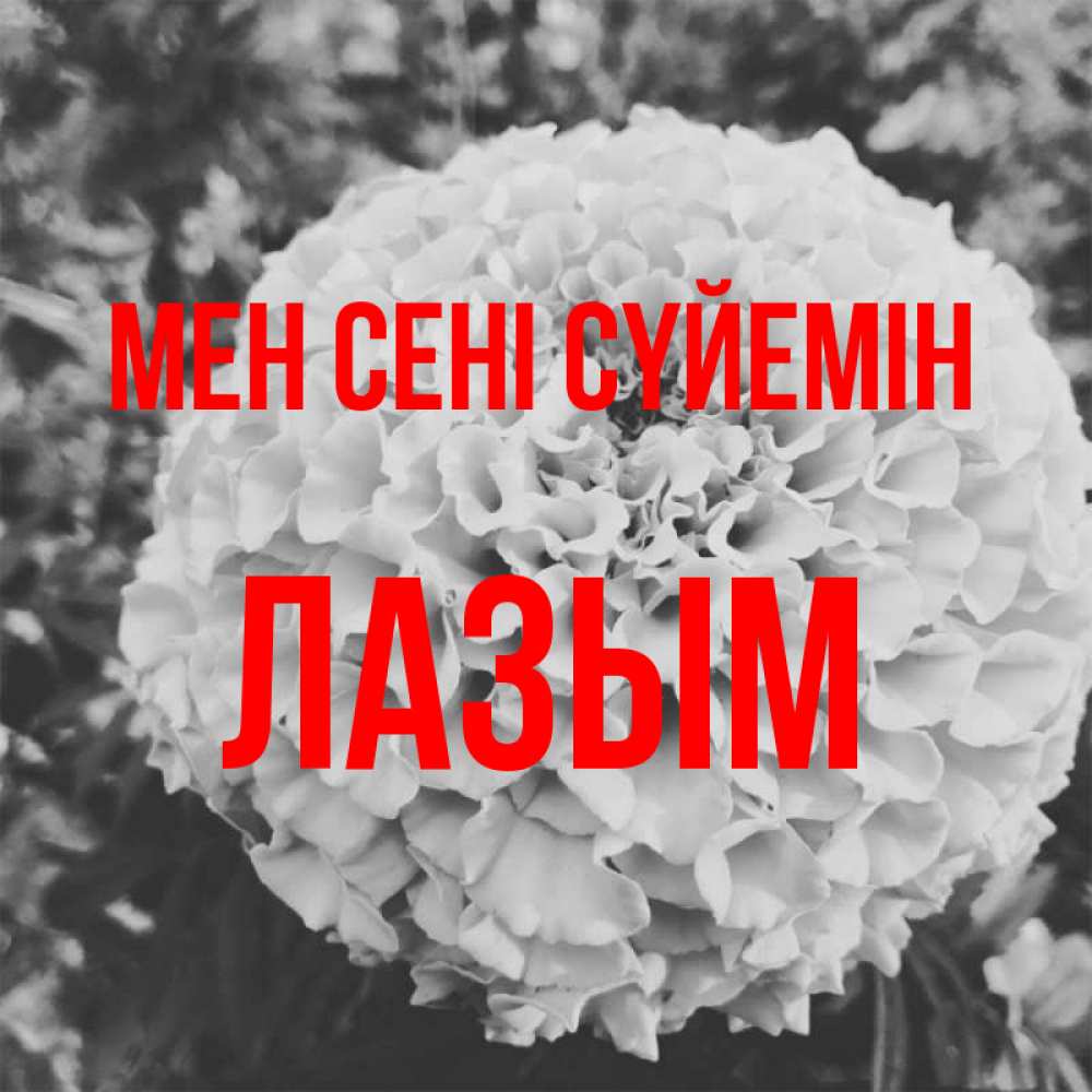Күн сайын ашық хат с именем, ЛАЗЫМ Мен сені сүйемін подпись Онлайн тегін жүктеп алу тілектері бар керемет карта 