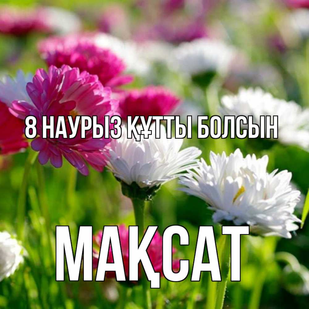 Күн сайын ашық хат с именем, МАҚСАТ 8 наурыз құтты болсын международный женский день 1 Онлайн тегін жүктеп алу тілектері бар керемет карта 