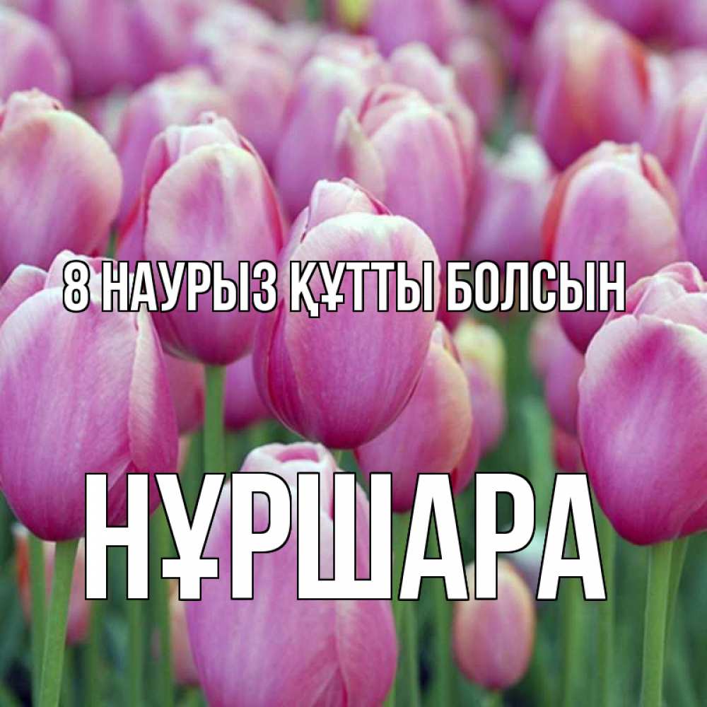 Күн сайын ашық хат с именем, НҰРШАРА 8 наурыз құтты болсын на международный женский день 3 Онлайн тегін жүктеп алу тілектері бар керемет карта 