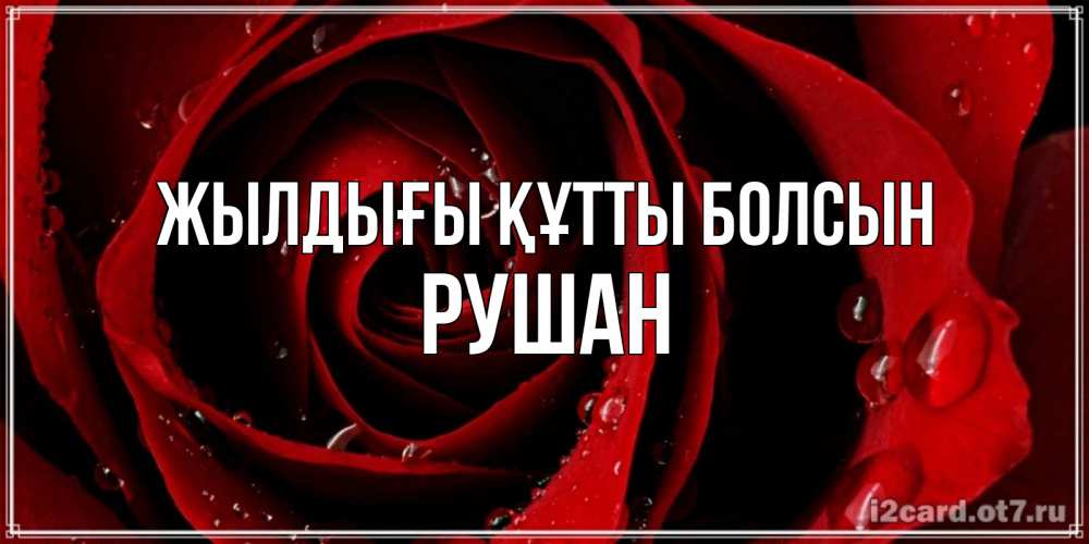 Күн сайын ашық хат с именем, Рушан Жылдығы құтты болсын крупная бордовая роза Онлайн тегін жүктеп алу тілектері бар керемет карта 