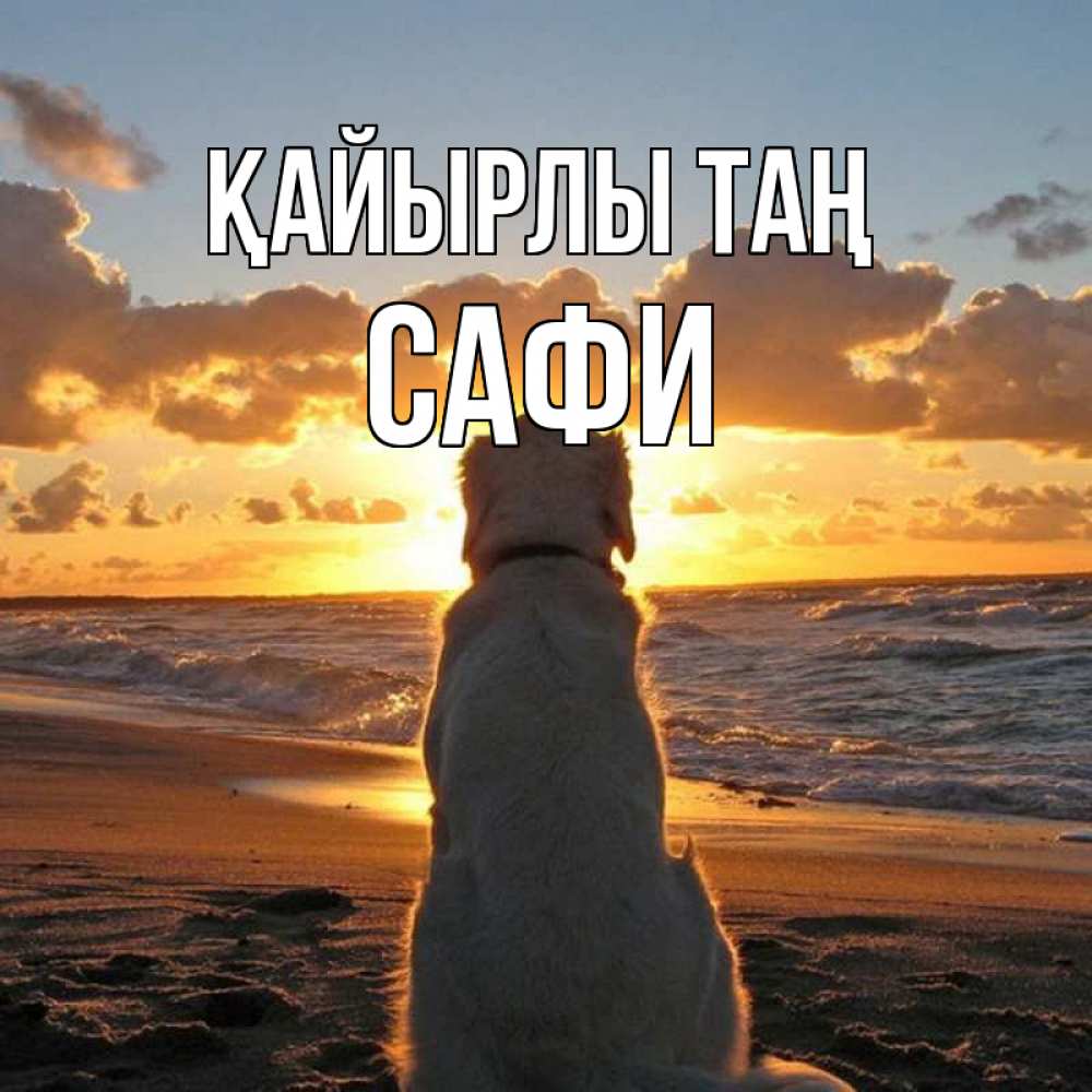 Күн сайын ашық хат с именем, САФИ Қайырлы таң восход солнца Онлайн тегін жүктеп алу тілектері бар керемет карта 