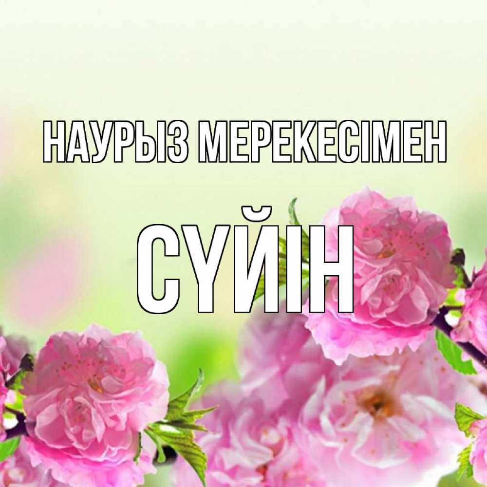 Күн сайын ашық хат с именем, СҮЙІН Наурыз мерекесімен цветы Онлайн тегін жүктеп алу тілектері бар керемет карта 