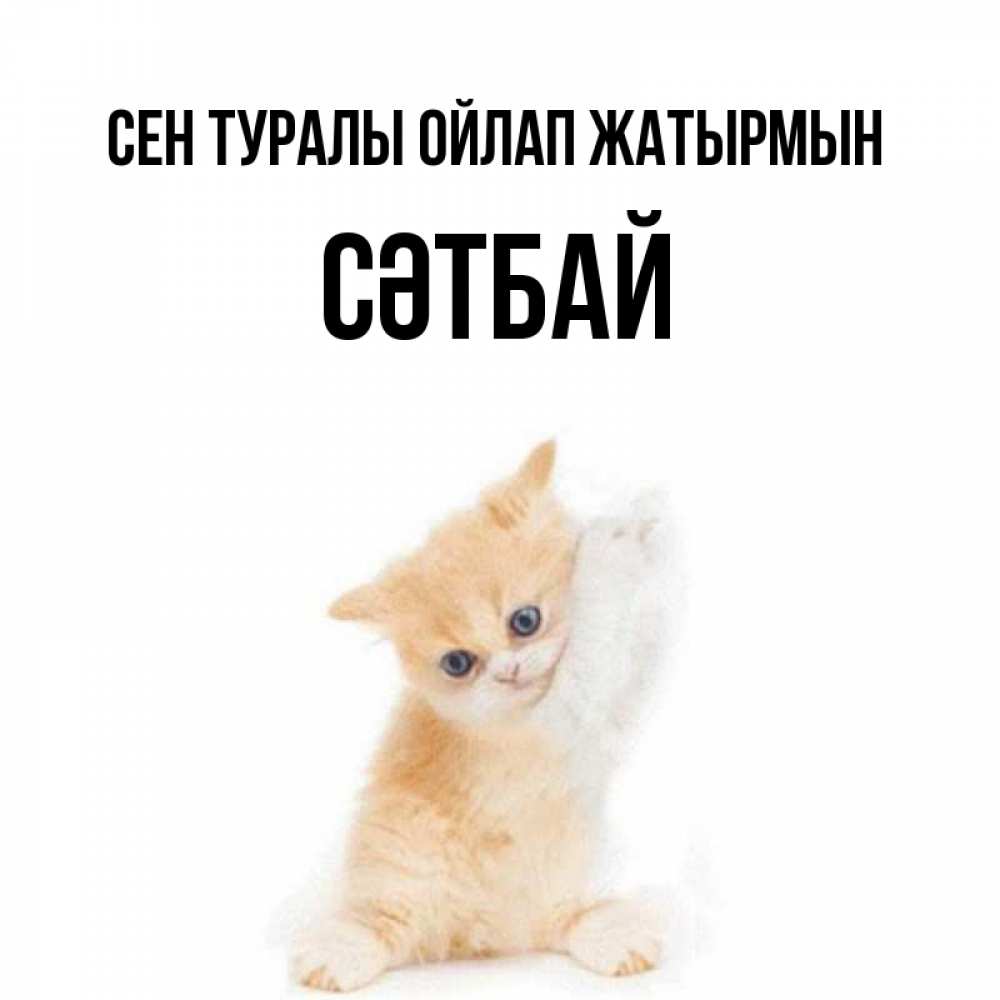 Күн сайын ашық хат с именем, СӘТБАЙ Сен туралы ойлап жатырмын зверушки и милота Онлайн тегін жүктеп алу тілектері бар керемет карта 
