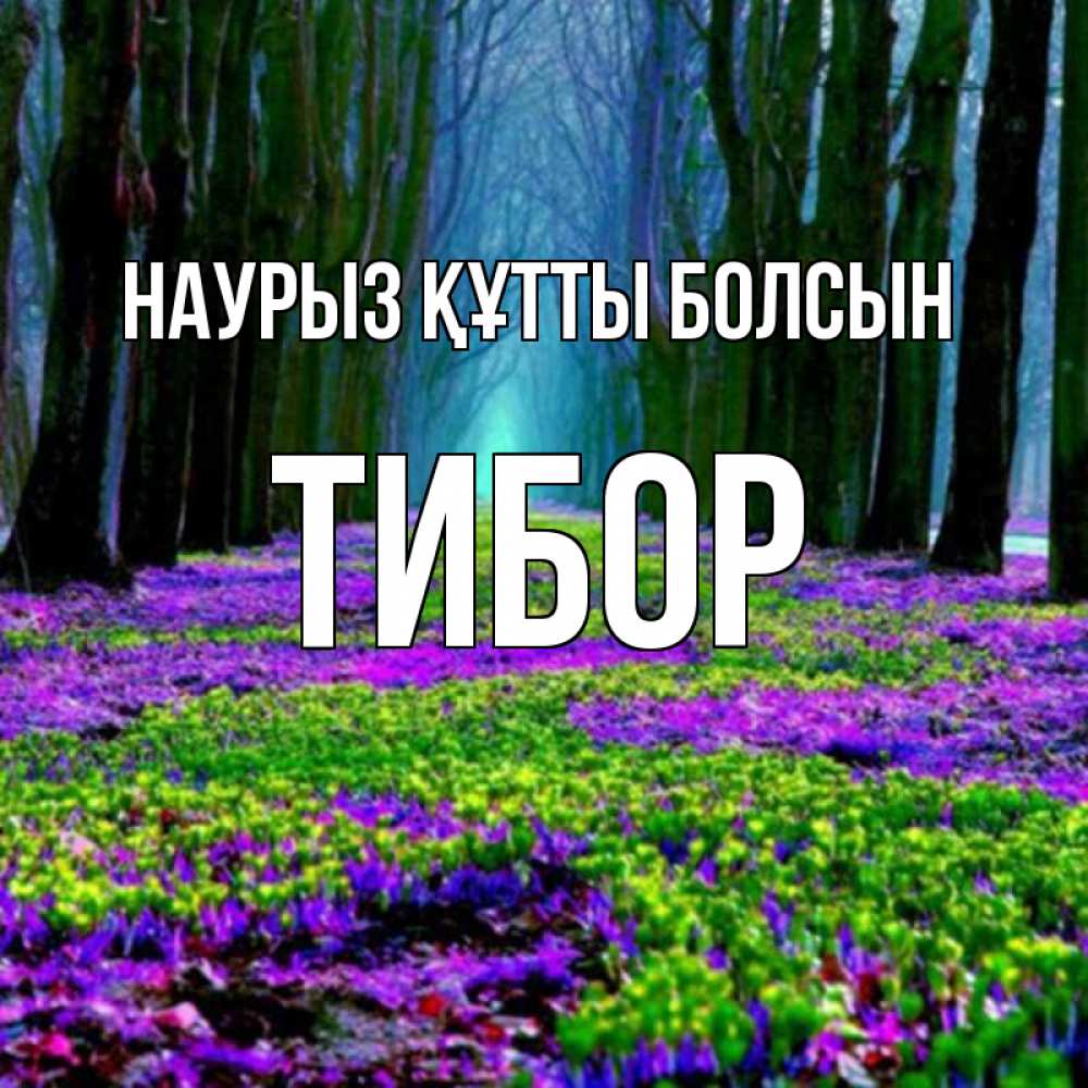 Күн сайын ашық хат с именем, Тибор Наурыз құтты болсын фиолетовые цветы в лесу 1 Онлайн тегін жүктеп алу тілектері бар керемет карта 