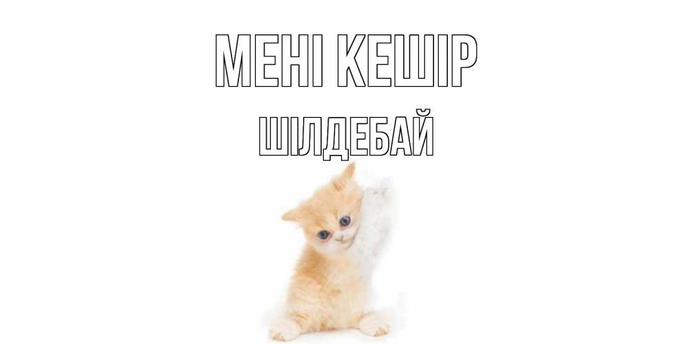 Күн сайын ашық хат с именем, ШІЛДЕБАЙ Мені кешір кот Онлайн тегін жүктеп алу тілектері бар керемет карта 