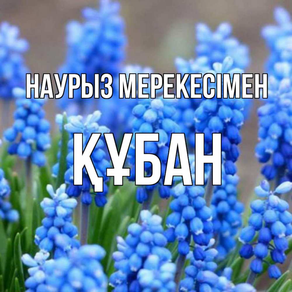 Күн сайын ашық хат с именем, ҚҰБАН Наурыз мерекесімен Поздравительная открытка для женщин с цветами на праздничную дату Онлайн тегін жүктеп алу тілектері бар керемет карта 