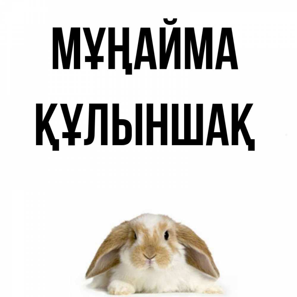 Күн сайын ашық хат с именем, ҚҰЛЫНШАҚ Мұңайма коричнево белый заяц с большими ушками Онлайн тегін жүктеп алу тілектері бар керемет карта 