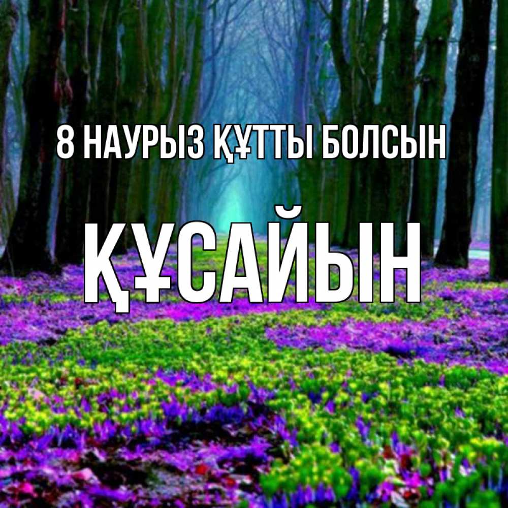 Күн сайын ашық хат с именем, ҚҰСАЙЫН 8 наурыз құтты болсын фиолетовые цветы в лесу 1 Онлайн тегін жүктеп алу тілектері бар керемет карта 