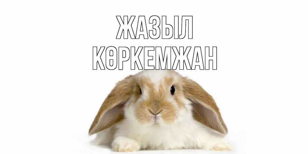 Күн сайын ашық хат с именем, Көркемжан Жазыл вислоухий кролик белого и коричневого цвета Онлайн тегін жүктеп алу тілектері бар керемет карта 