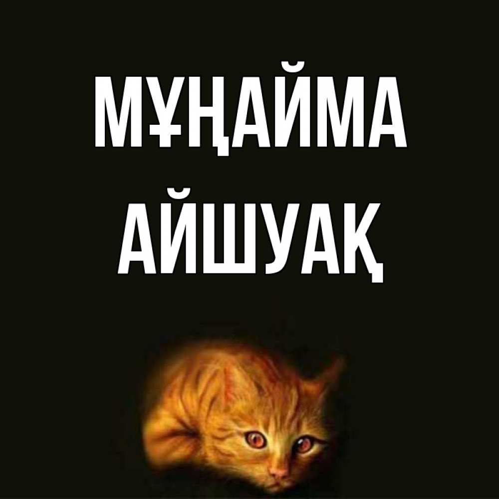 Күн сайын ашық хат с именем, Айшуақ Мұңайма лежащий кот в темноте Онлайн тегін жүктеп алу тілектері бар керемет карта 