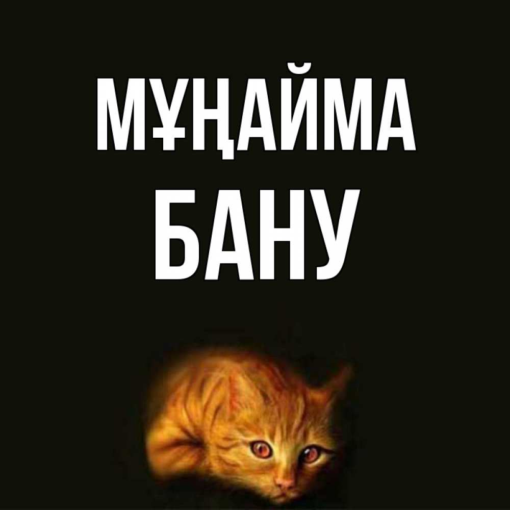Күн сайын ашық хат с именем, БАНУ Мұңайма лежащий кот в темноте Онлайн тегін жүктеп алу тілектері бар керемет карта 