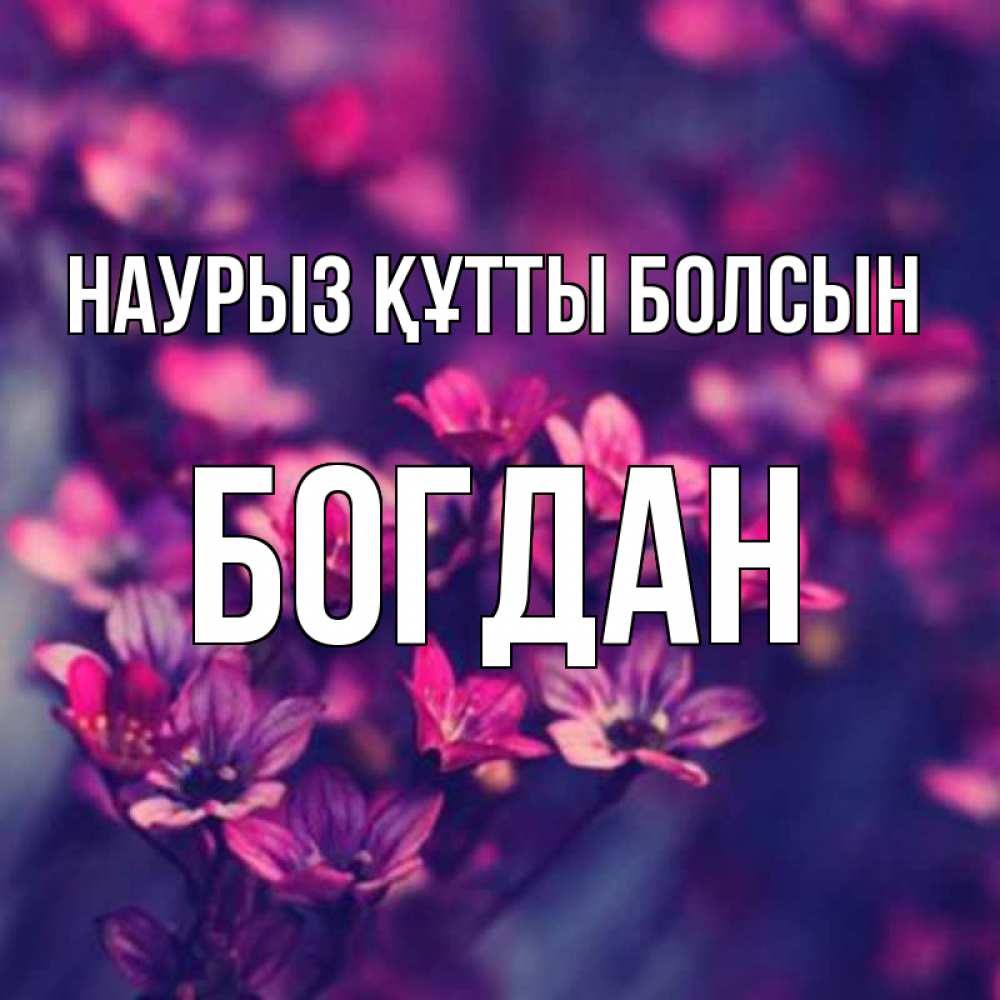 Күн сайын ашық хат с именем, Богдан Наурыз құтты болсын небольшие цветы 1 Онлайн тегін жүктеп алу тілектері бар керемет карта 