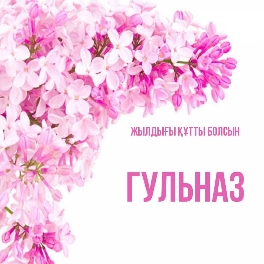 Күн сайын ашық хат с именем, Гульназ Жылдығы құтты болсын Сирень на белом фоне Онлайн тегін жүктеп алу тілектері бар керемет карта 