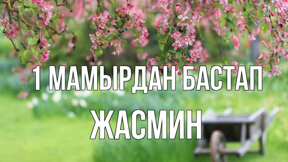 Күн сайын ашық хат с именем, Жасмин 1 мамырдан бастап С 1 мая Онлайн тегін жүктеп алу тілектері бар керемет карта 