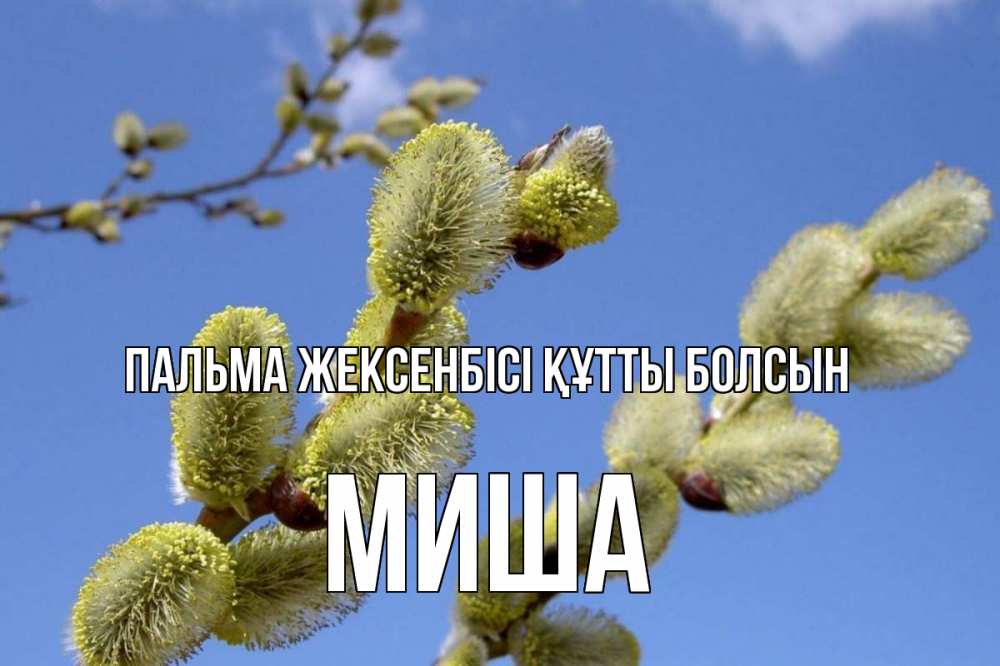 Күн сайын ашық хат с именем, Миша Пальма жексенбісі құтты болсын верба Онлайн тегін жүктеп алу тілектері бар керемет карта 